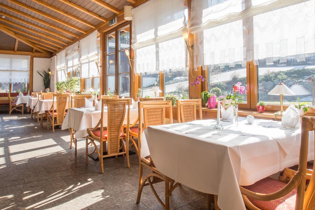 Landhotel Rittersgruen Breitenbrunn  Zewnętrze zdjęcie