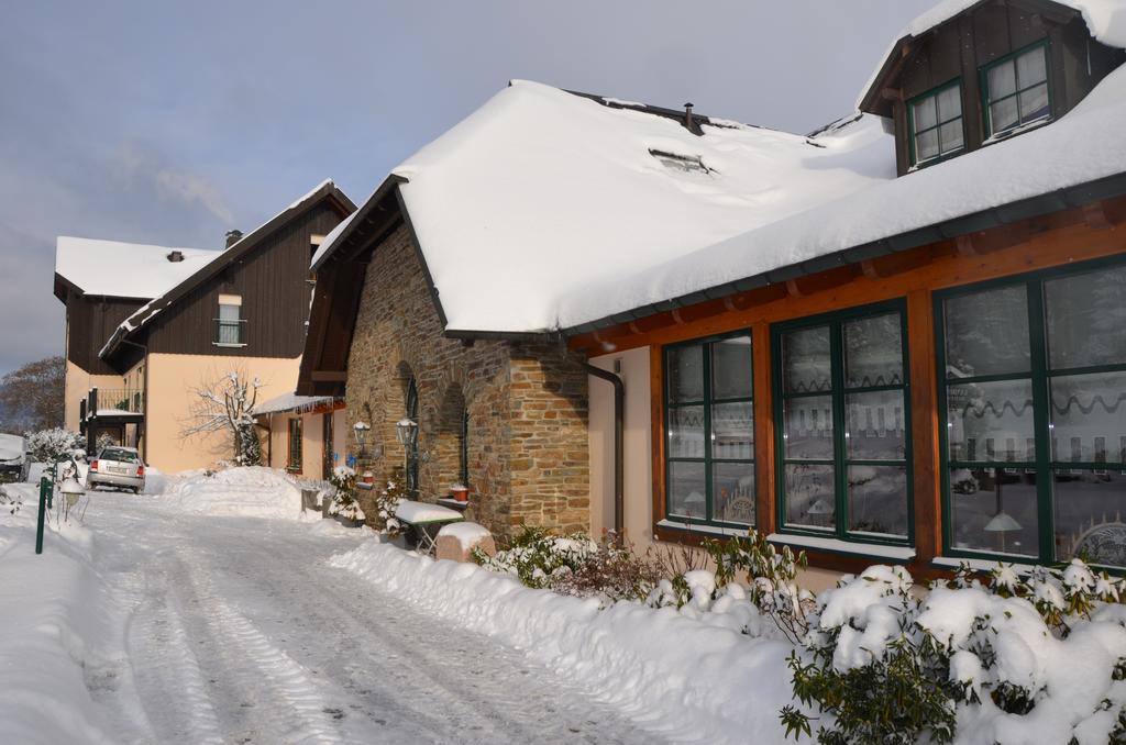 Landhotel Rittersgruen Breitenbrunn  Zewnętrze zdjęcie